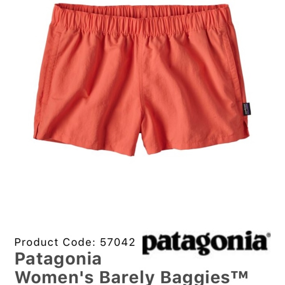 Patagonia Baggies Shorts